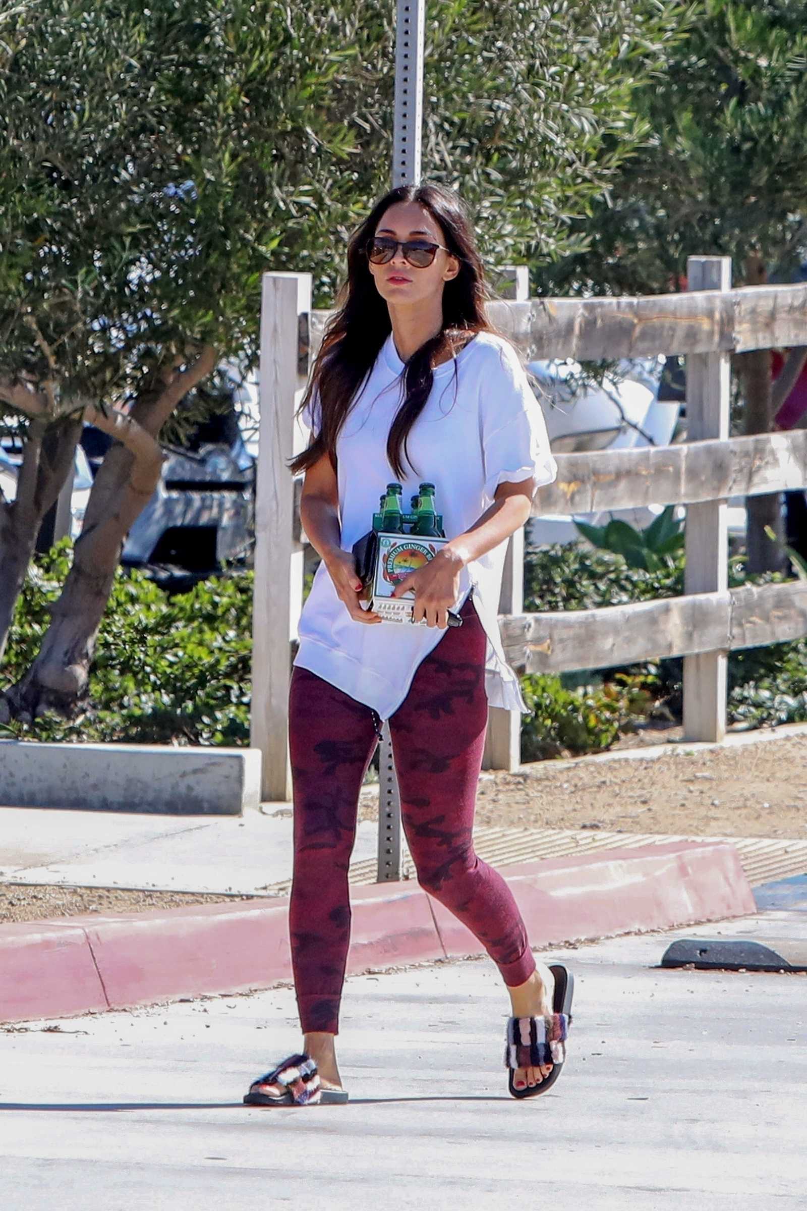 Megan_Fox_-_In_Malibu2C_CA_on_November_4-08.jpg